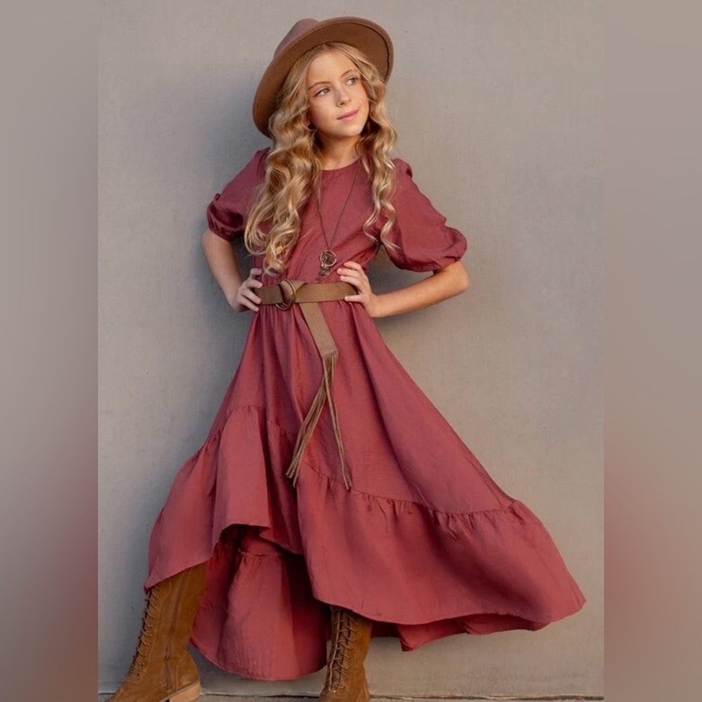 Joyfolie Gabriella Dress in Mesa Rosa NWT Size 4